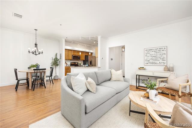 Open-plan living room with a gray sofa, light rug, and dining area beside the kitchen.