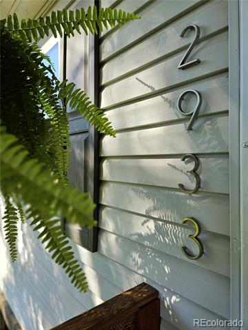 House number 2933 on light siding, framed by a fern.
