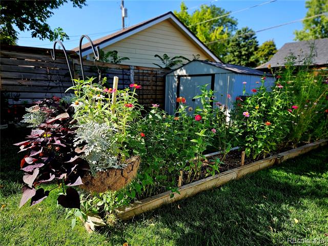 Backyard flower garden with raised beds and a blue shed beside the house.