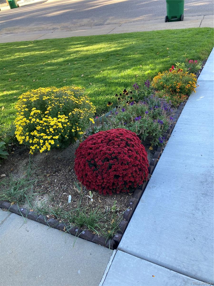 4776 N Wildflowers Way