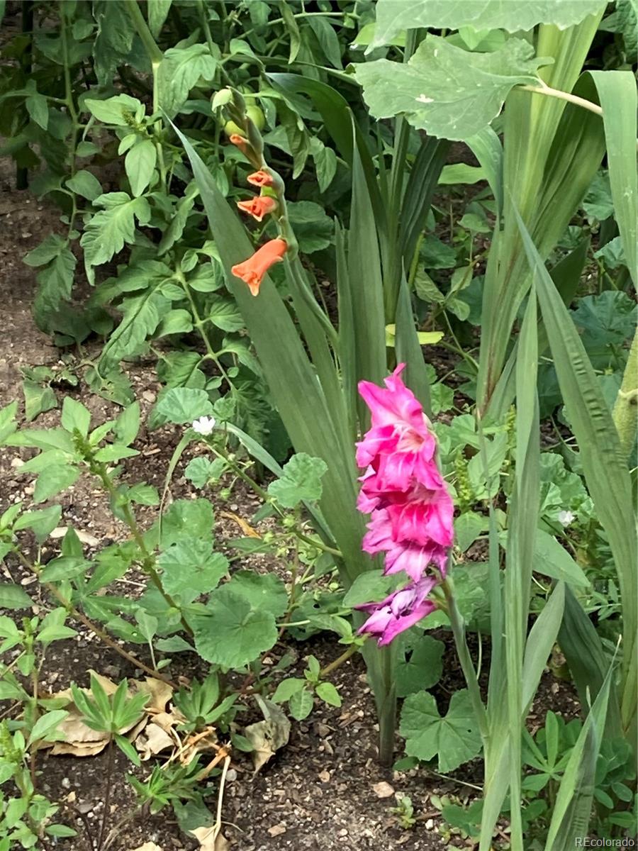 4776 N Wildflowers Way