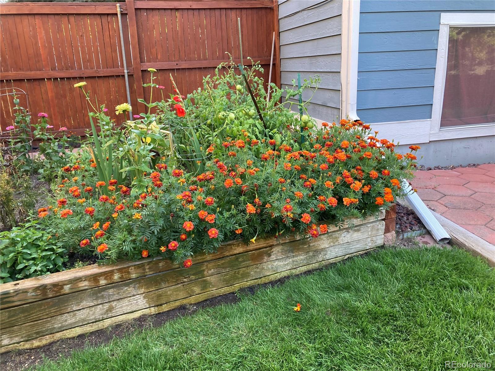 4776 N Wildflowers Way