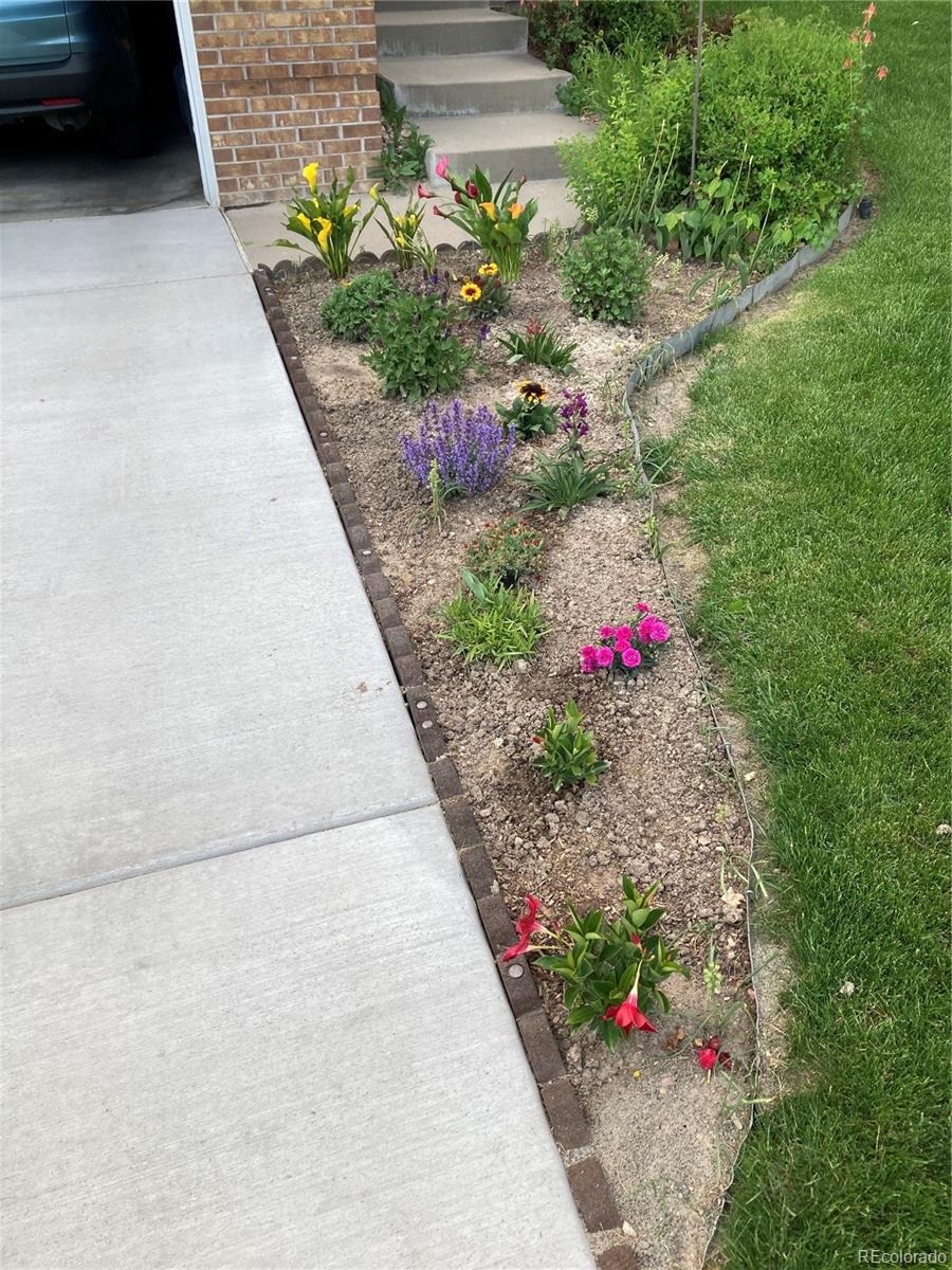 4776 N Wildflowers Way