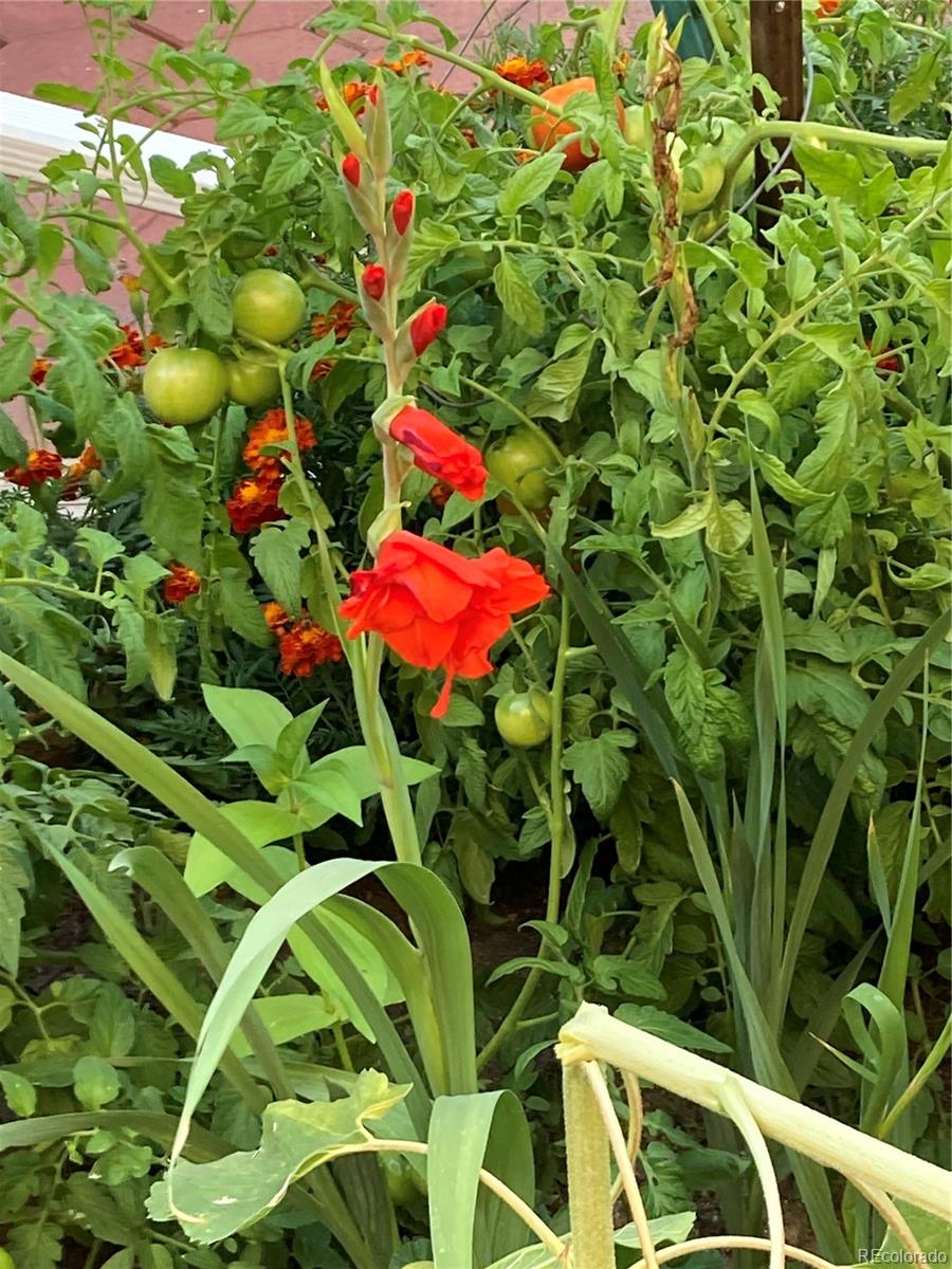 4776 N Wildflowers Way