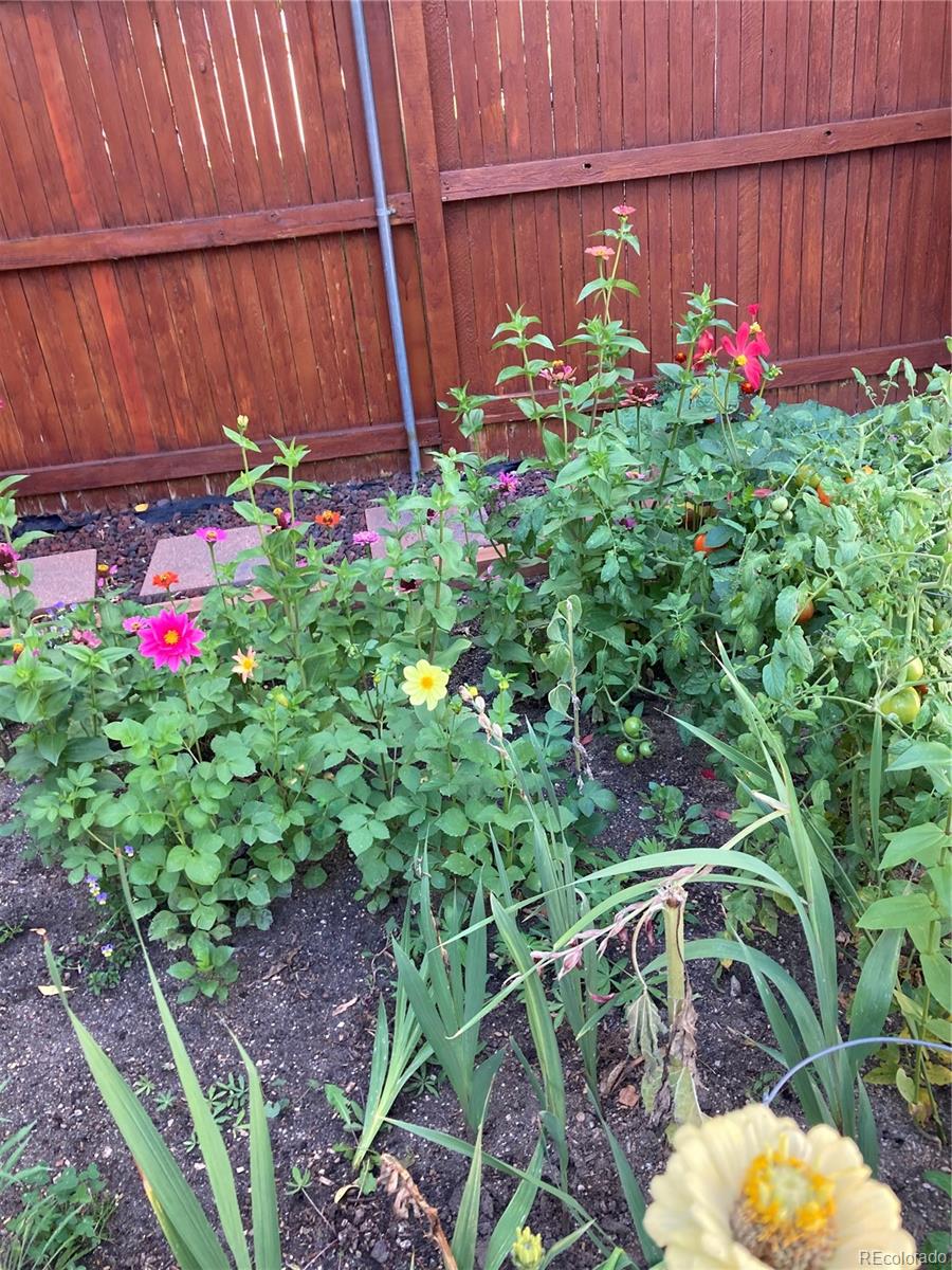 4776 N Wildflowers Way