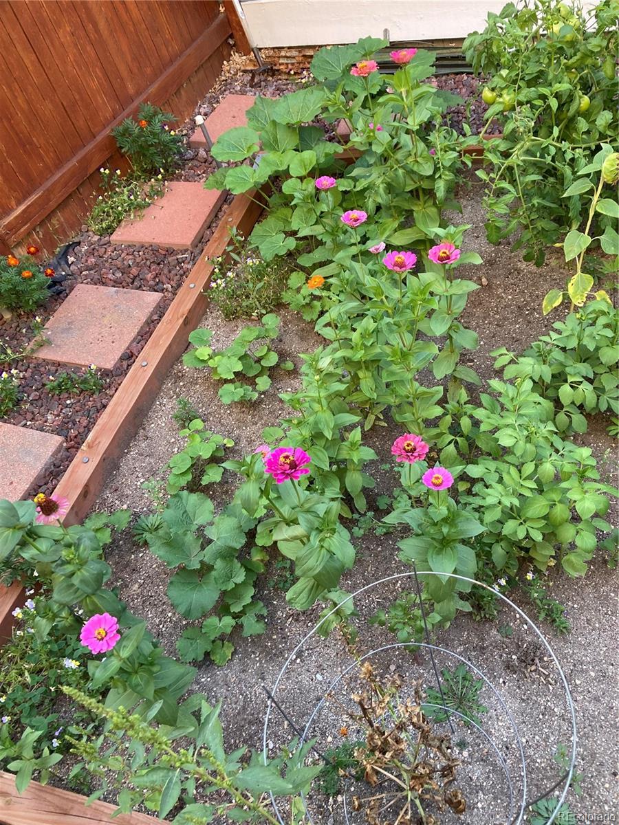 4776 N Wildflowers Way