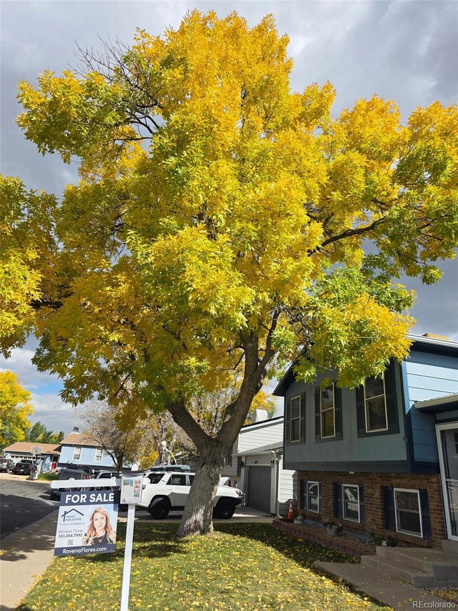 11062 Fairfax Circle