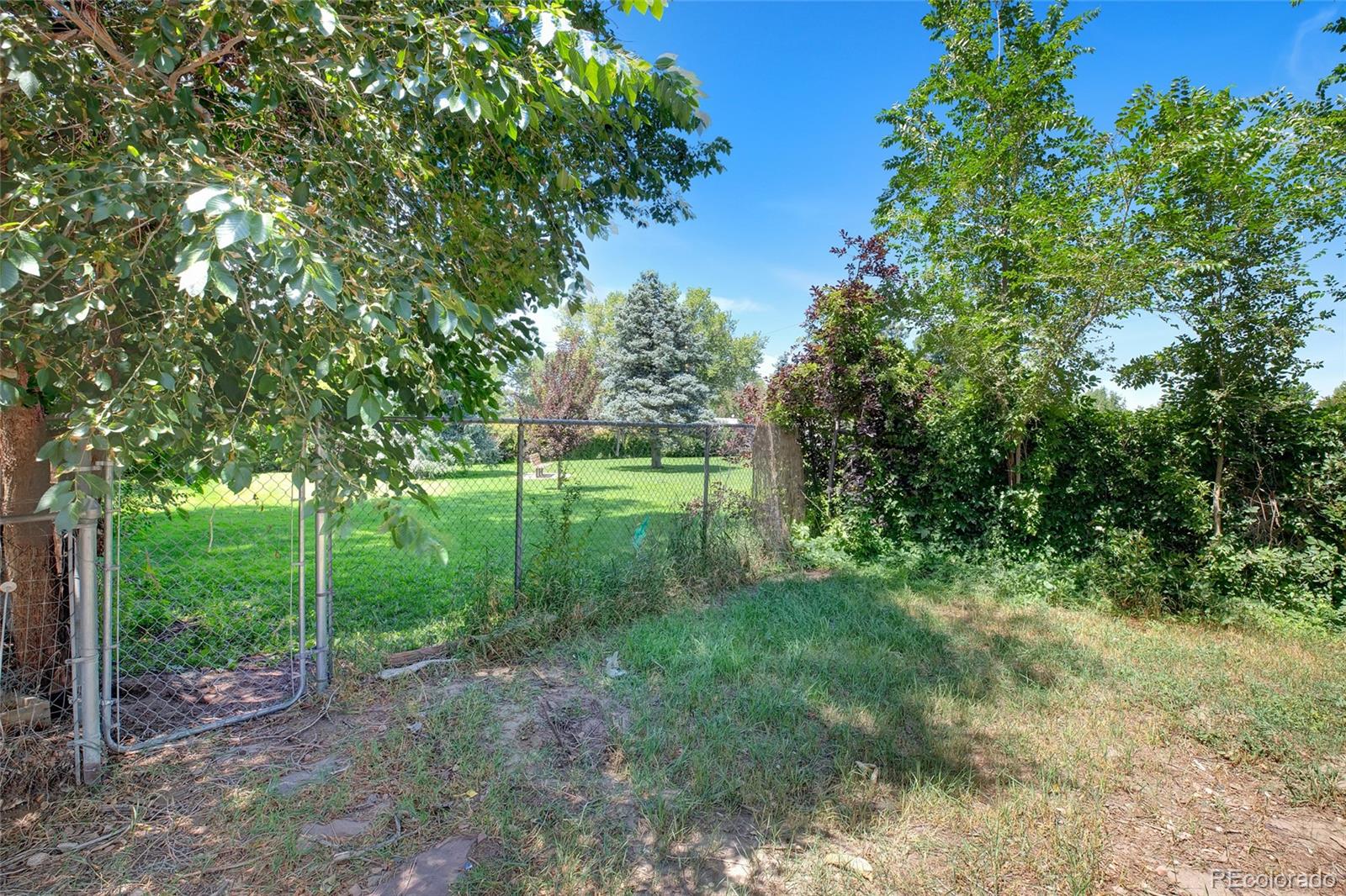 1115 W Quincy Avenue
