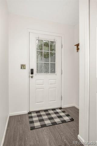 Entryway with a white divided-light door and a black-and-white checkered rug.