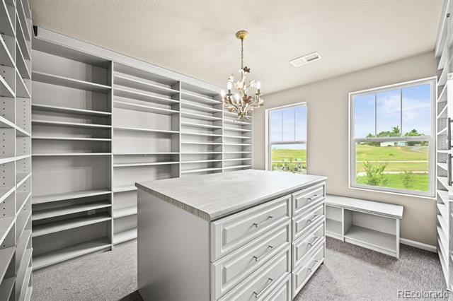 18221 House Finch Lane