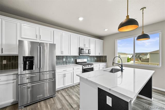 18221 House Finch Lane