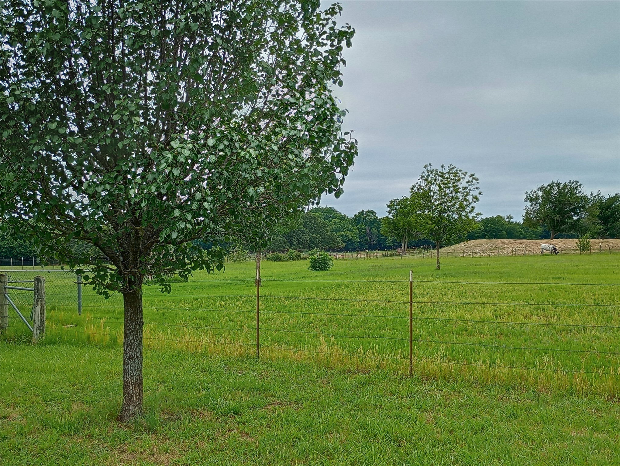 1300 Knob Road