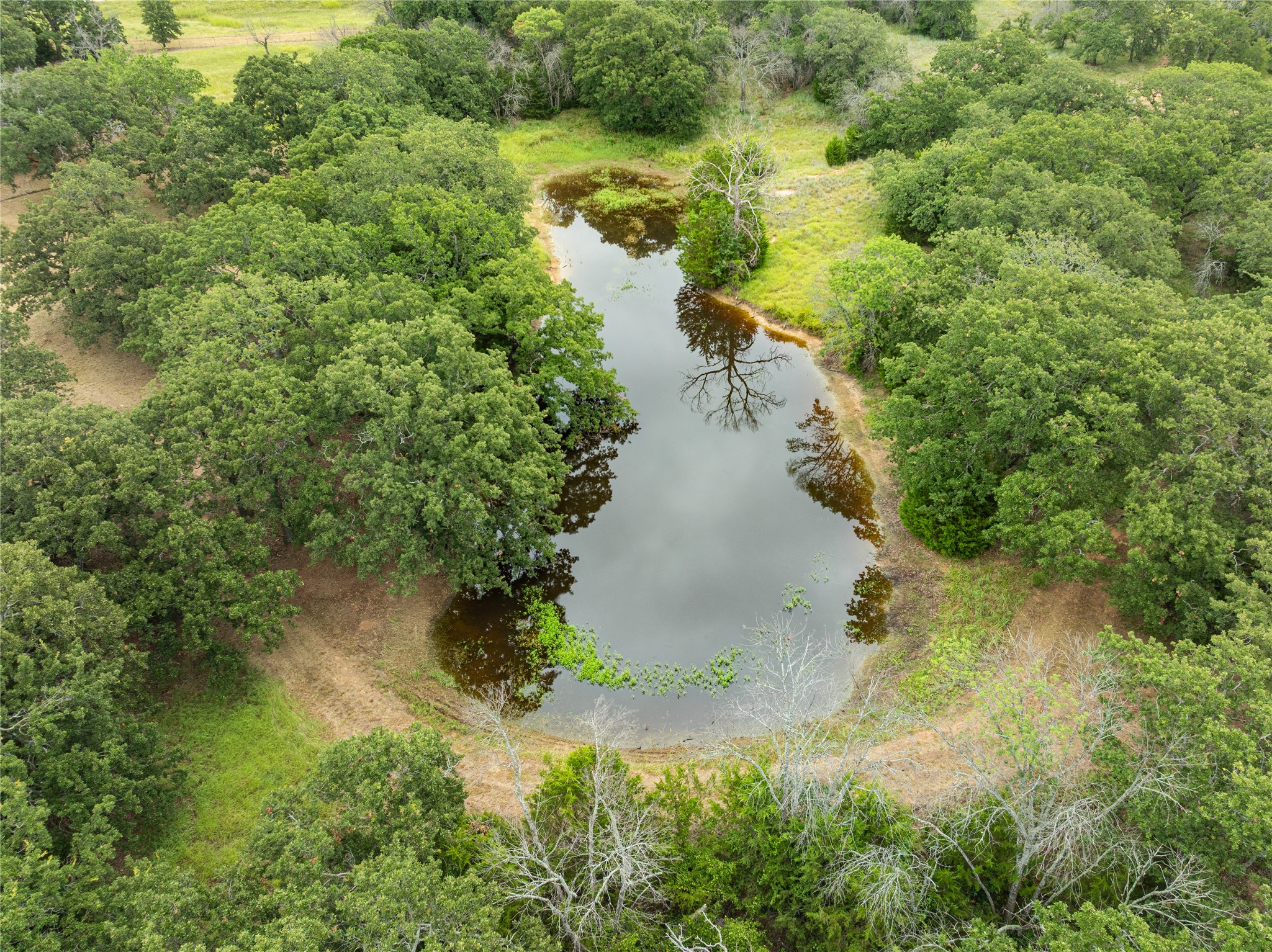 4005 Mineral Wells Highway