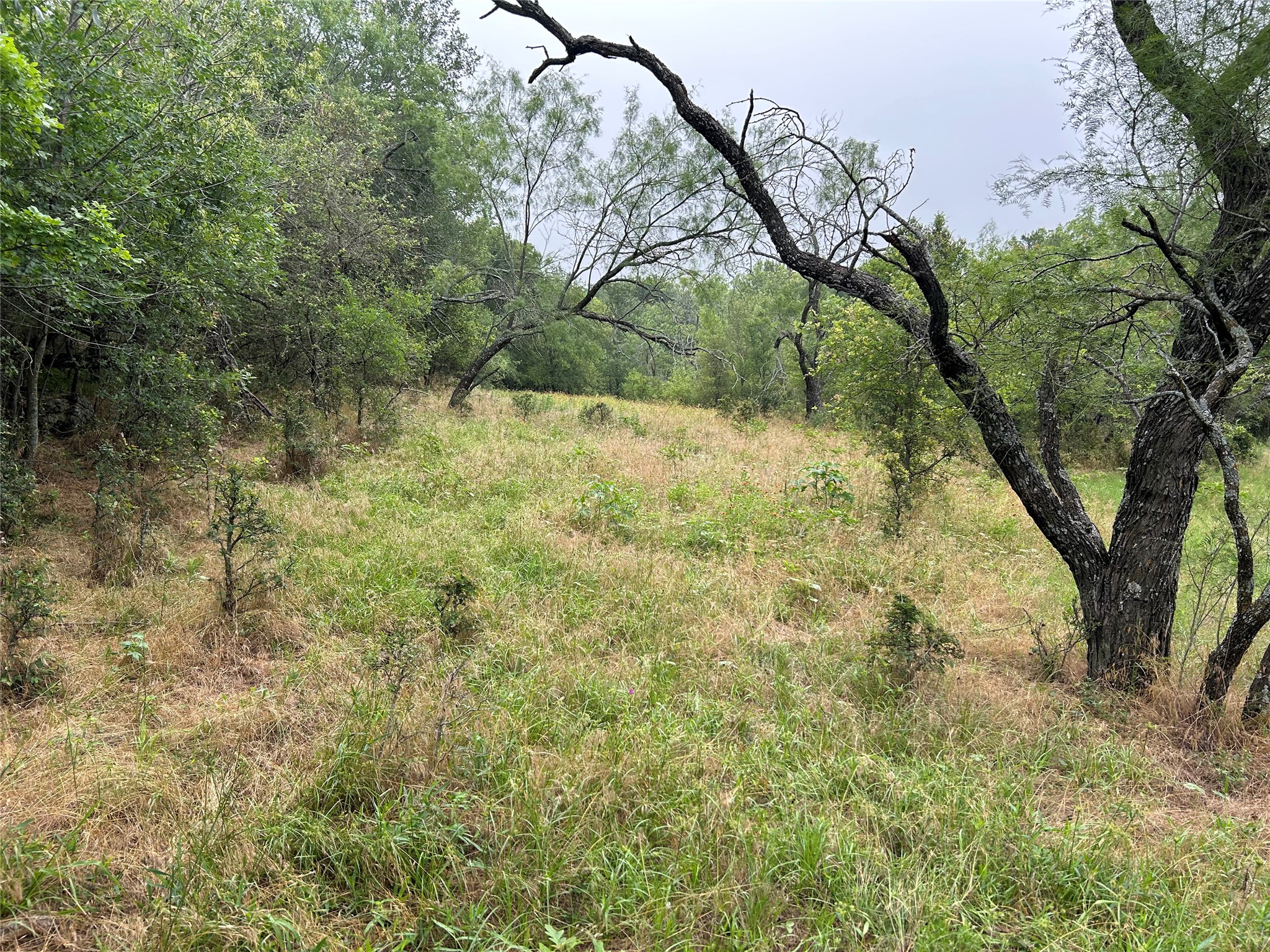 003 County Line Road