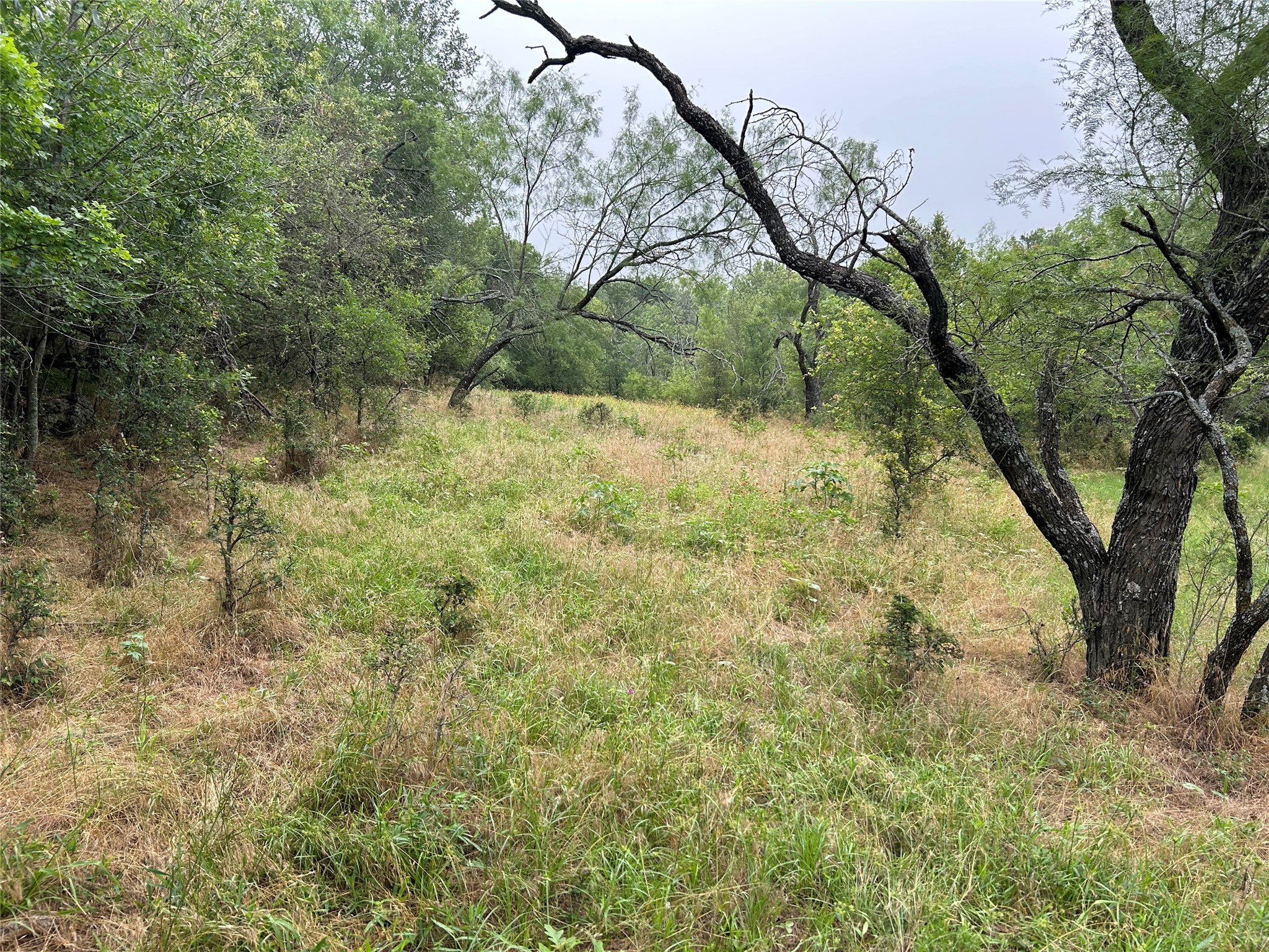 003 County Line Road