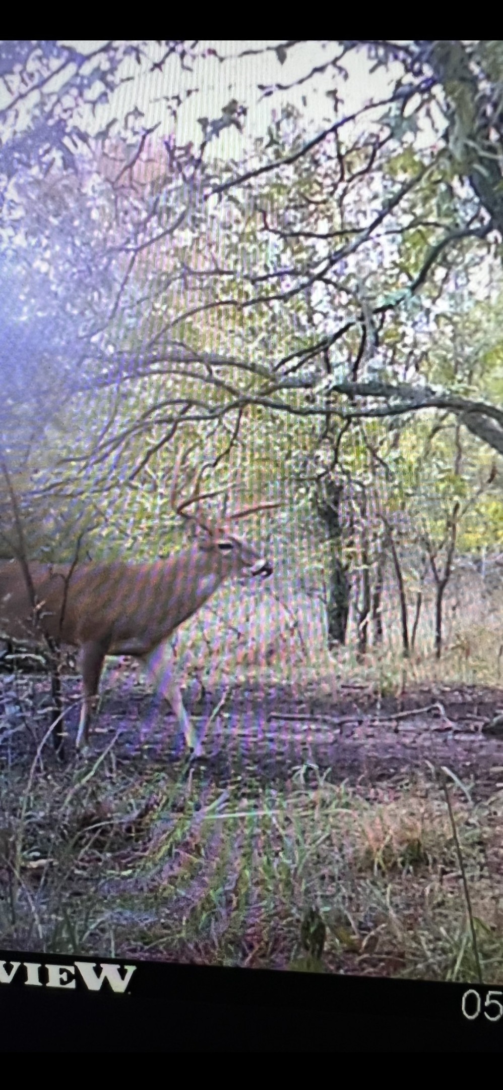 2913 County Line Road