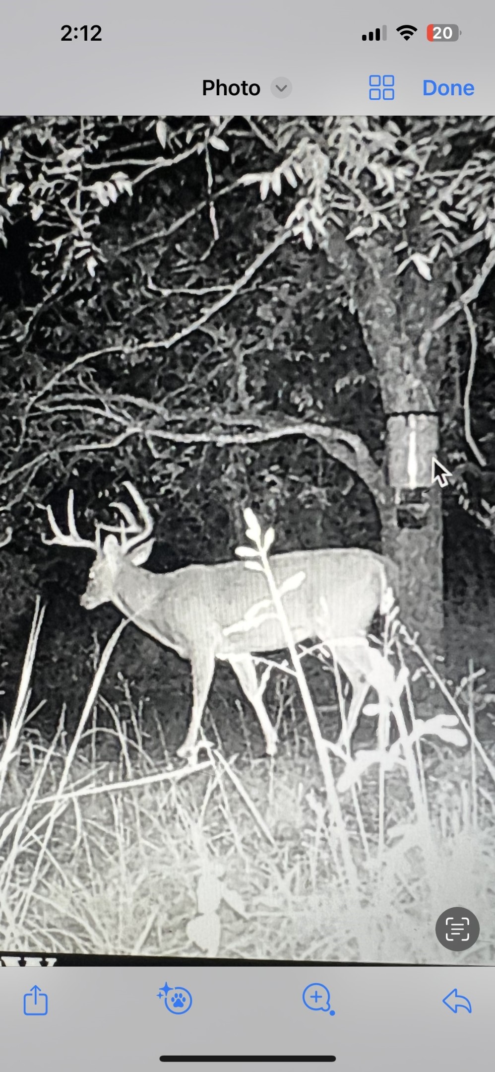 2913 County Line Road