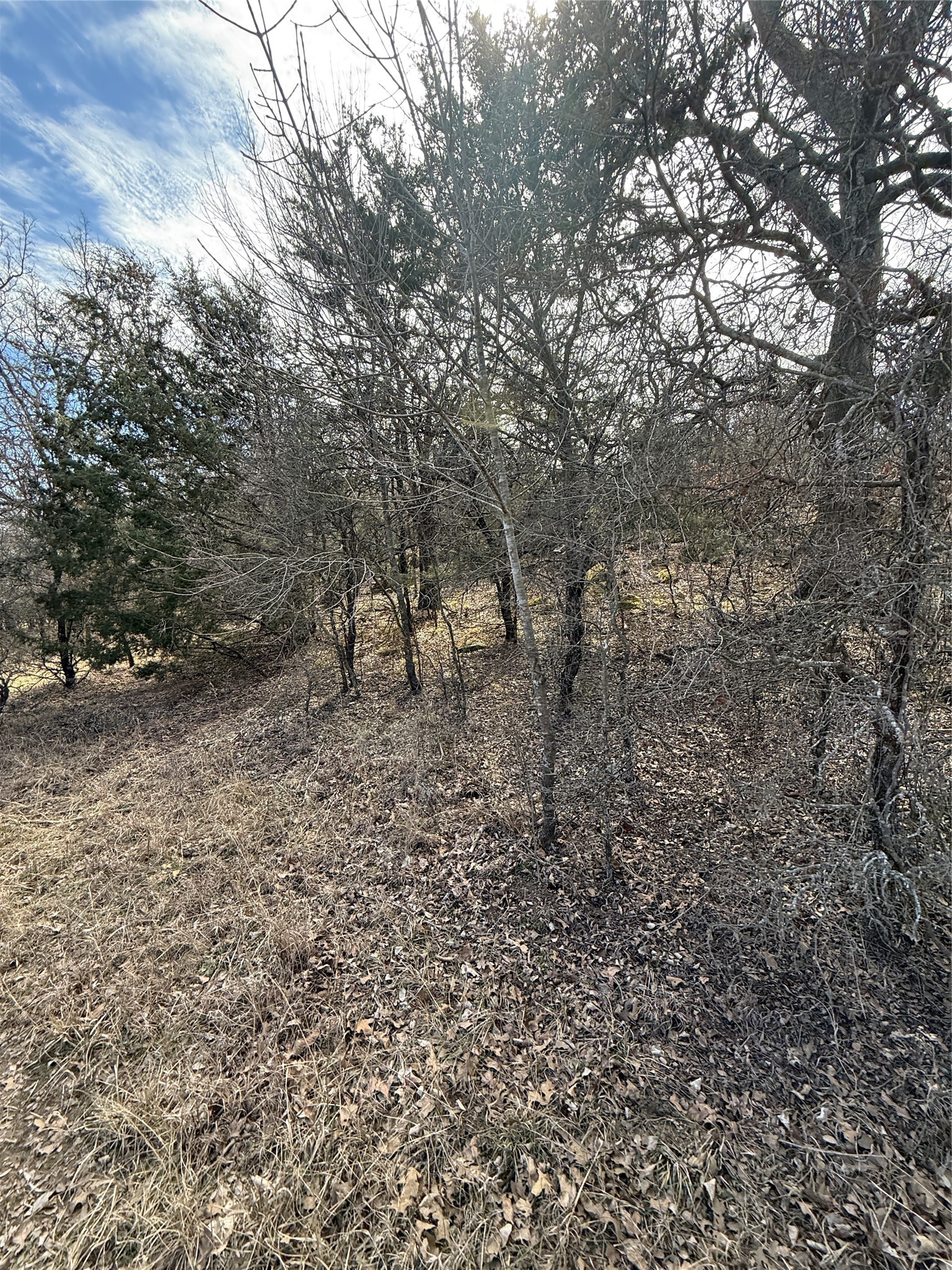 2913 County Line Road