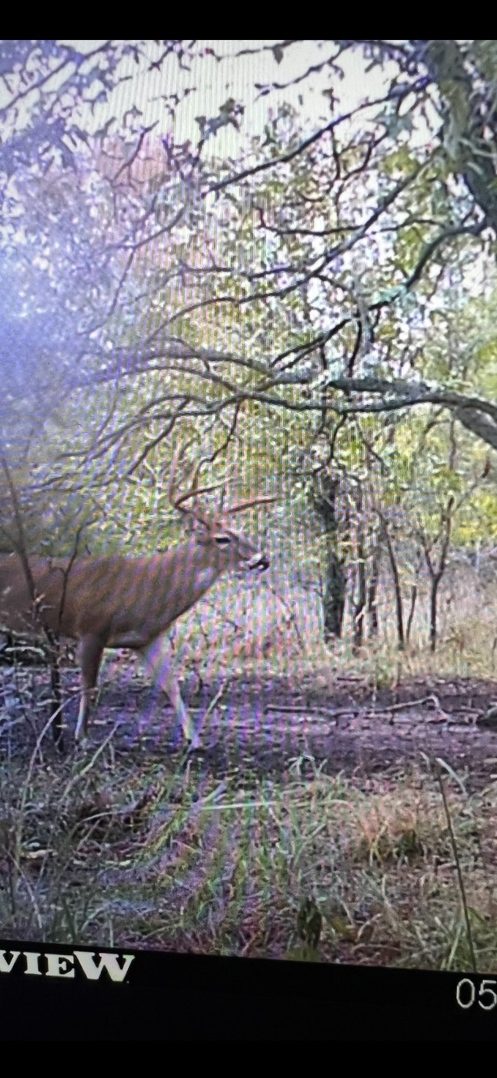 2913 County Line Road