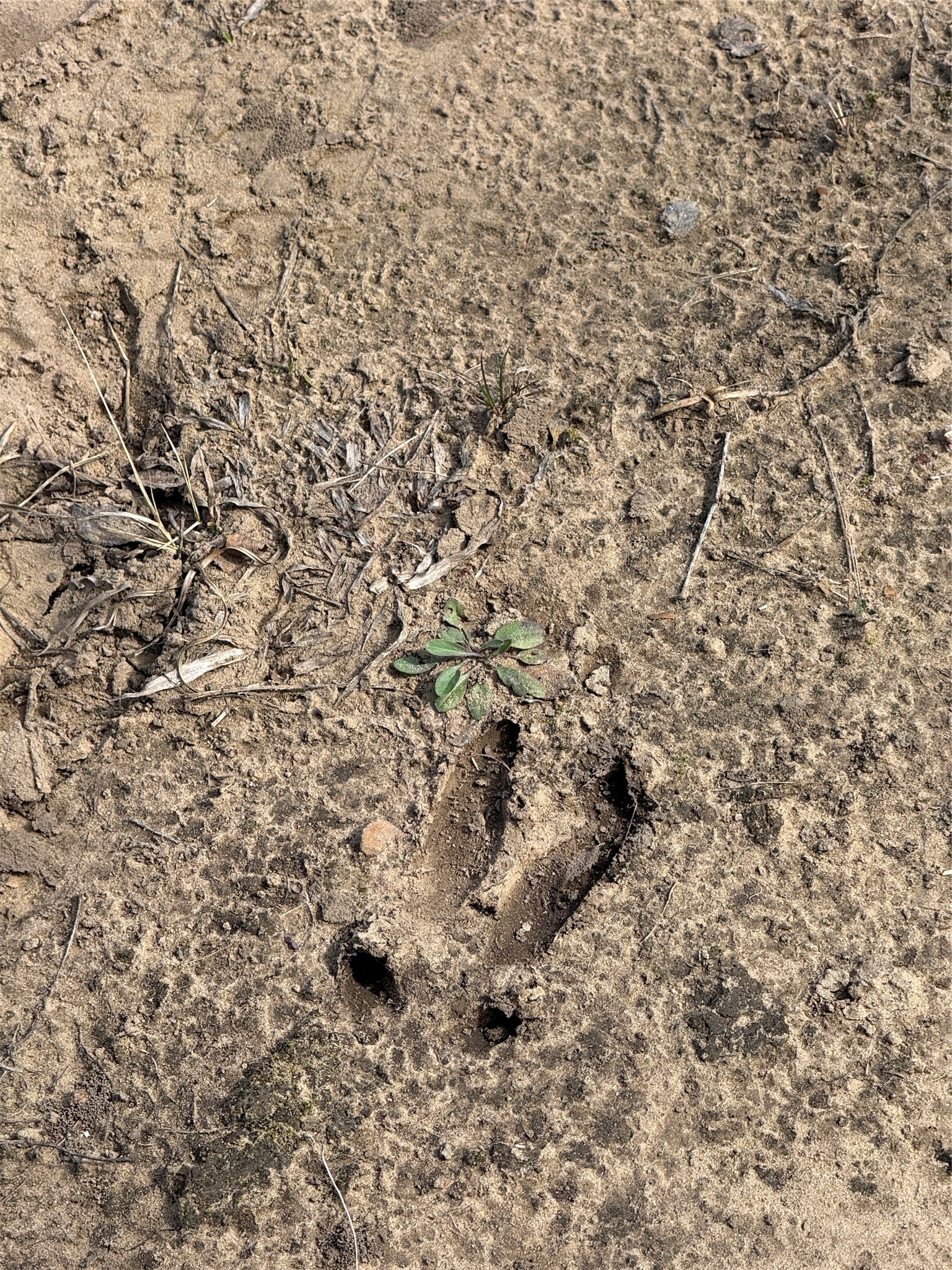 2913 County Line Road