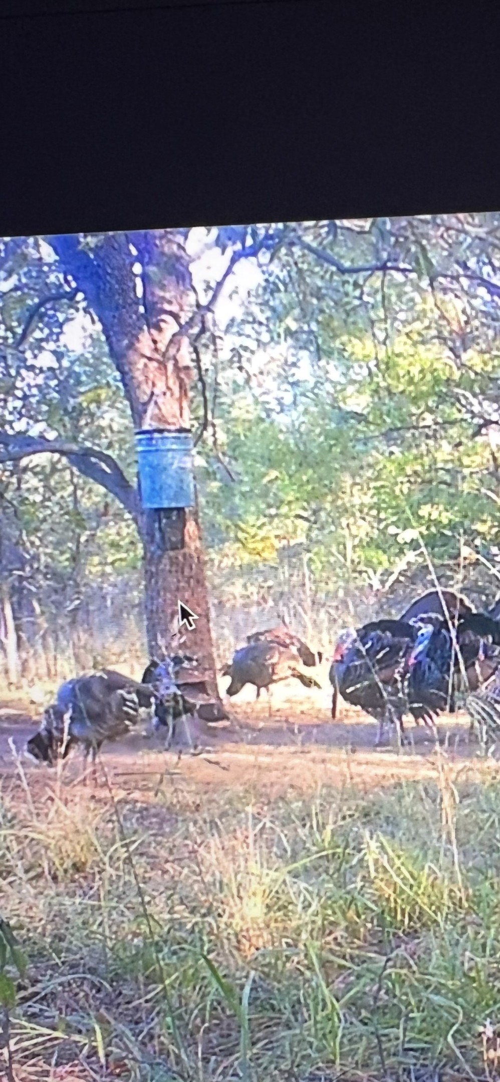 2913 County Line Road