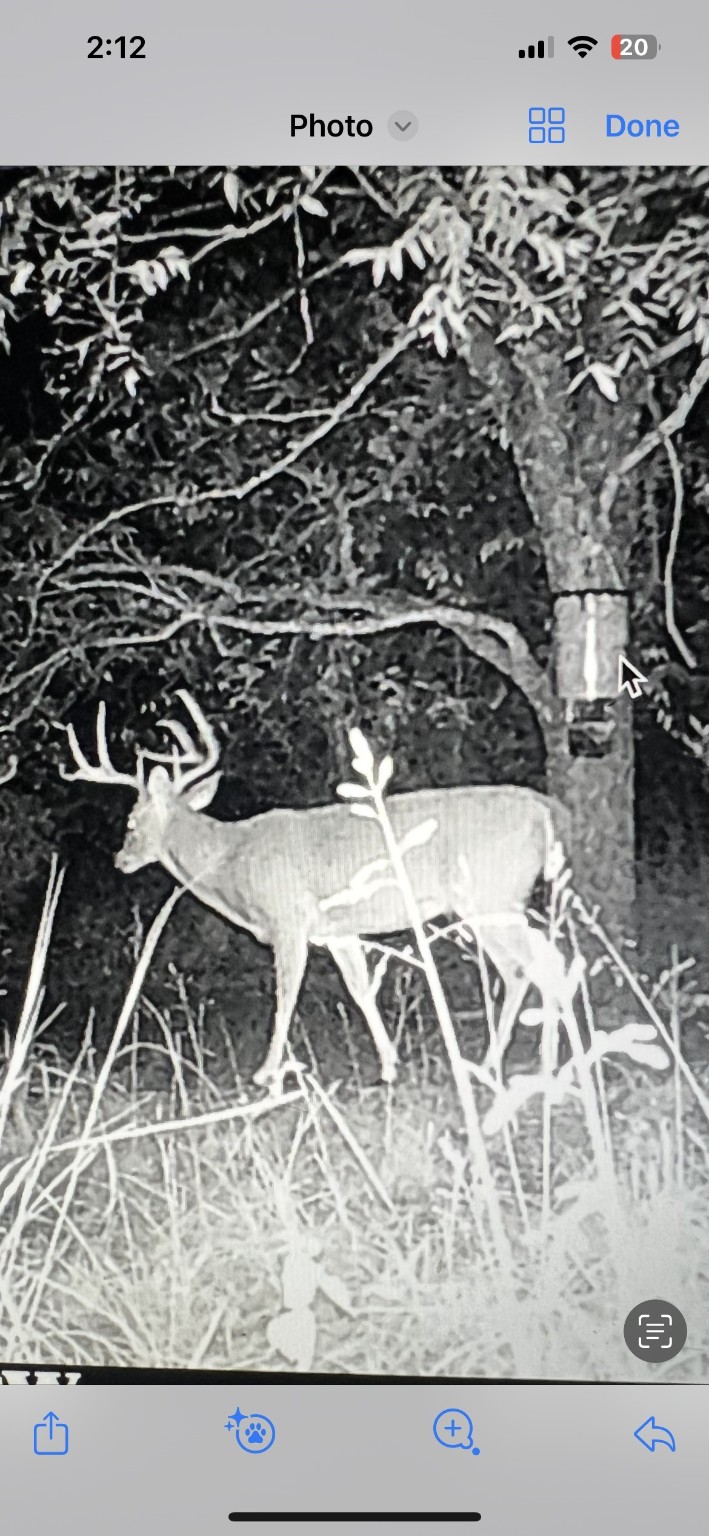 2913 County Line Road