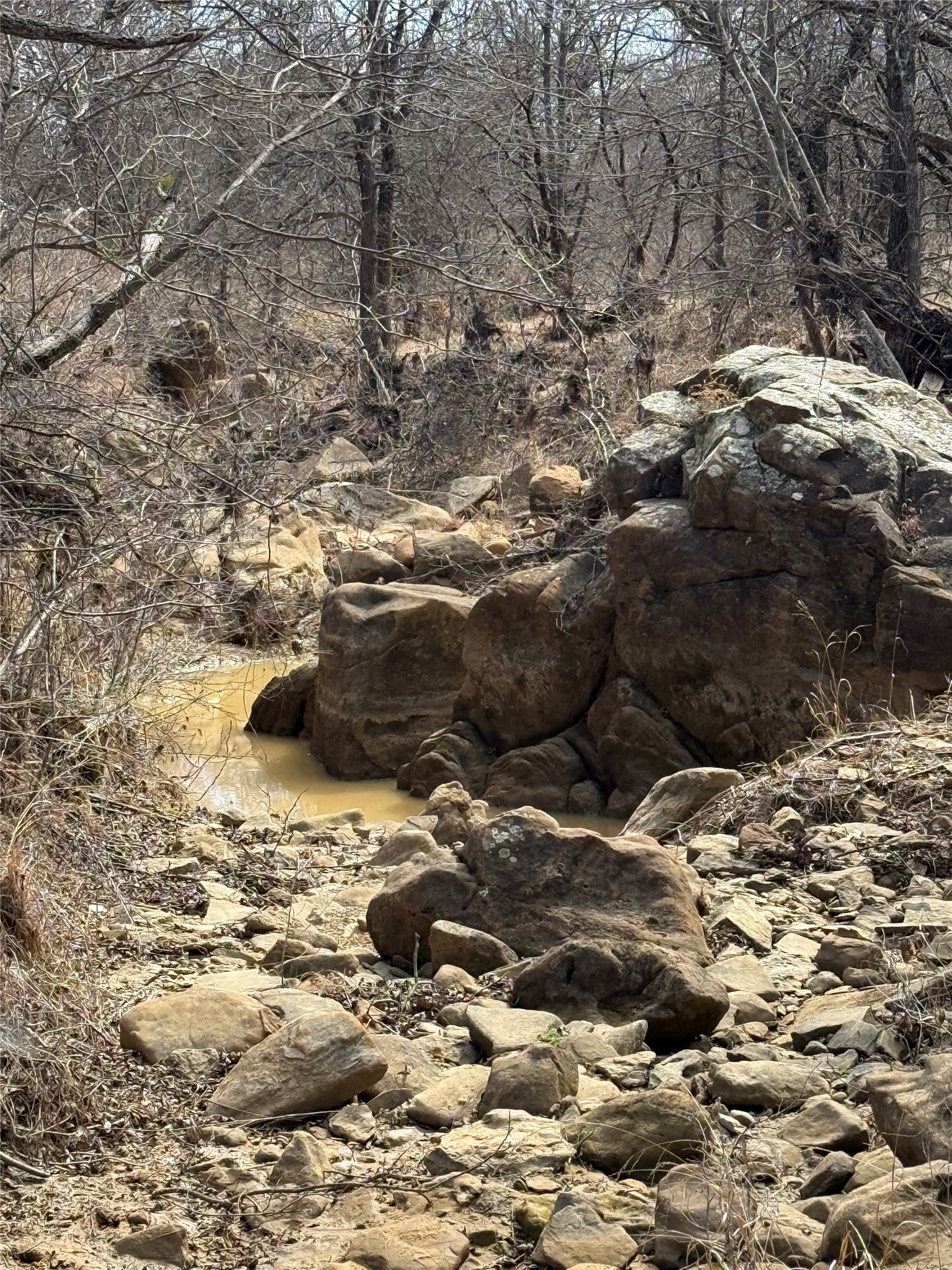 2913 County Line Road