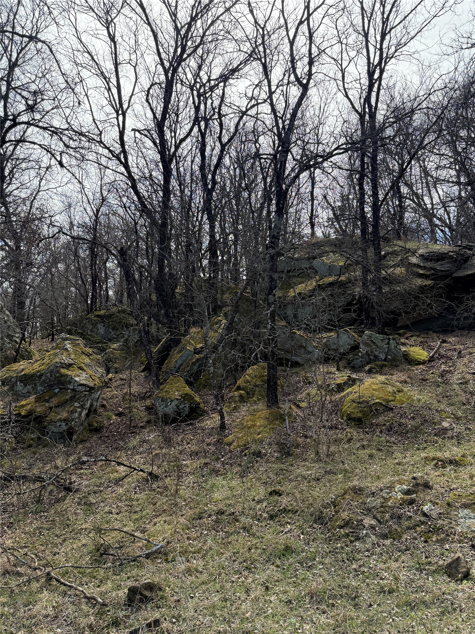 2913 County Line Road