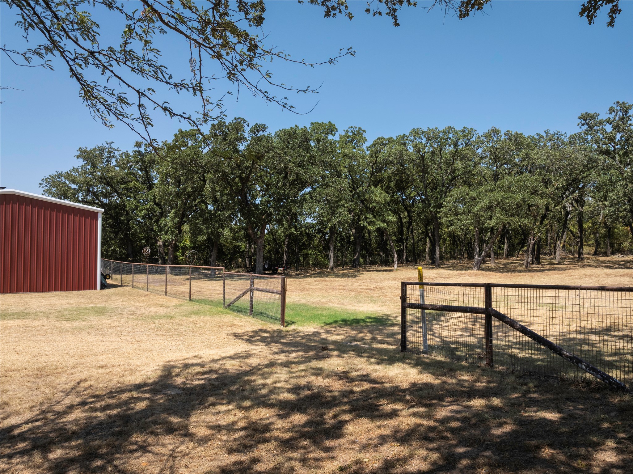 448 County Road 3690