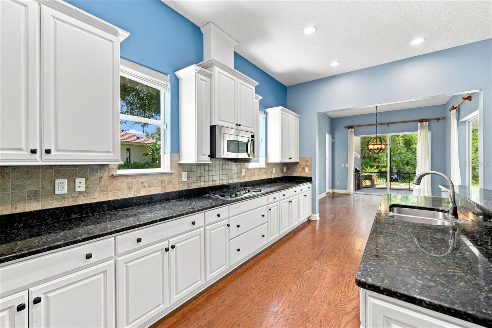 21201 SKY VISTA DR
