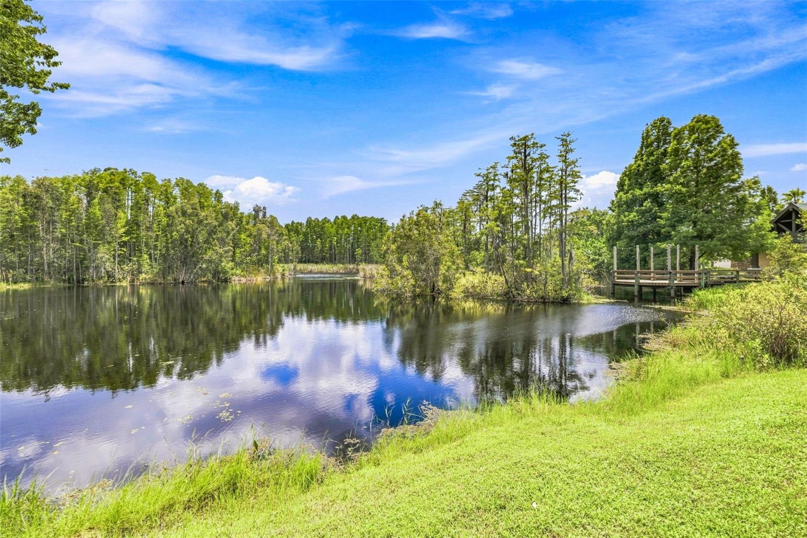 21201 SKY VISTA DR