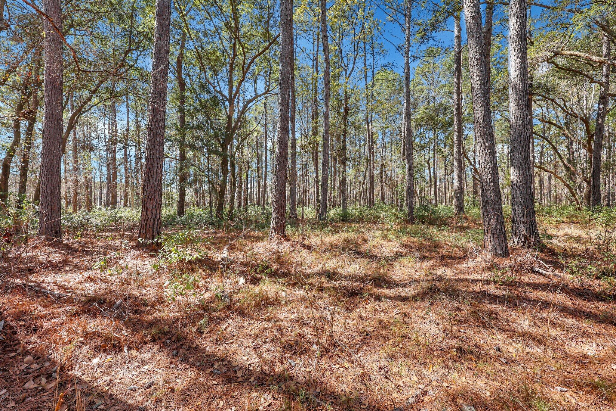 1010 Towhee Lane, McClellanville