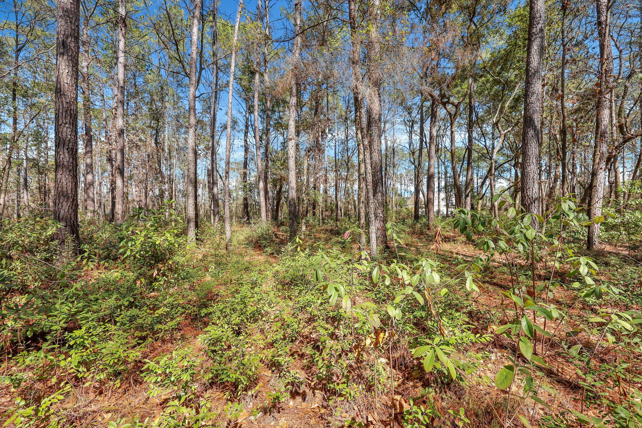 1010 Towhee Lane, McClellanville