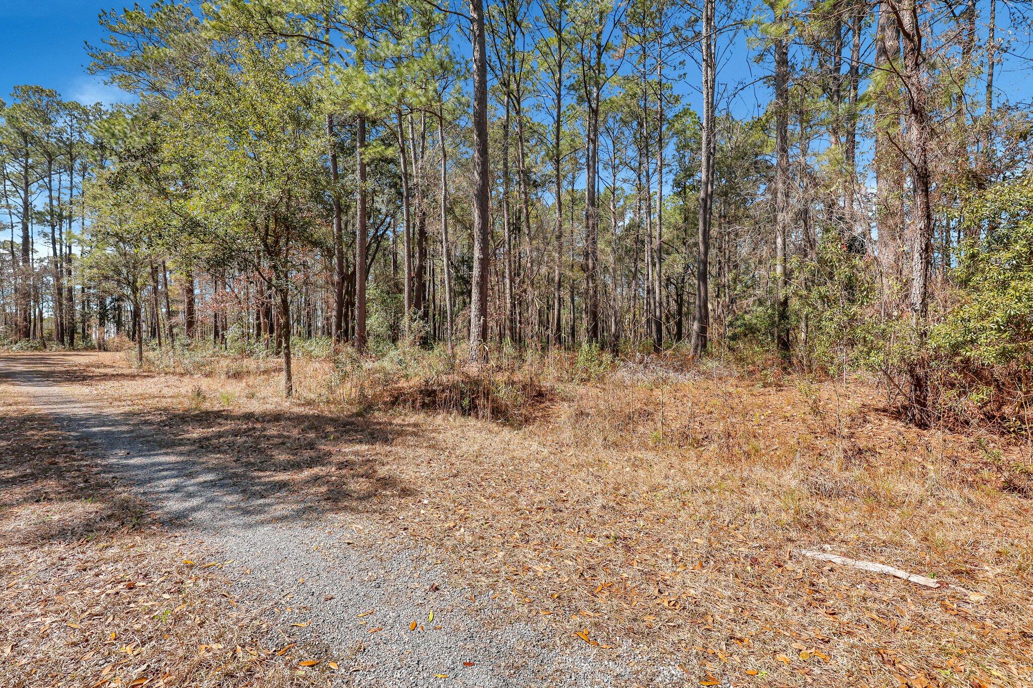 1010 Towhee Lane, McClellanville