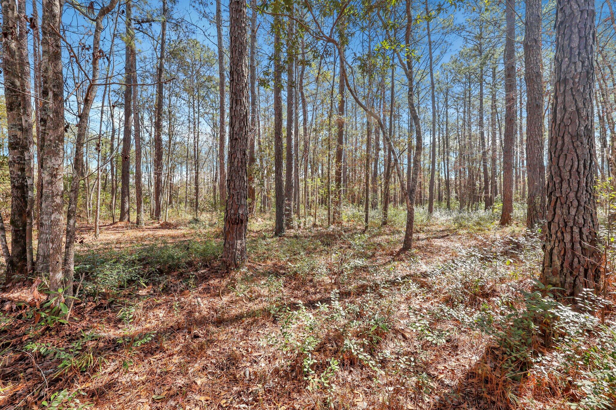 1010 Towhee Lane, McClellanville