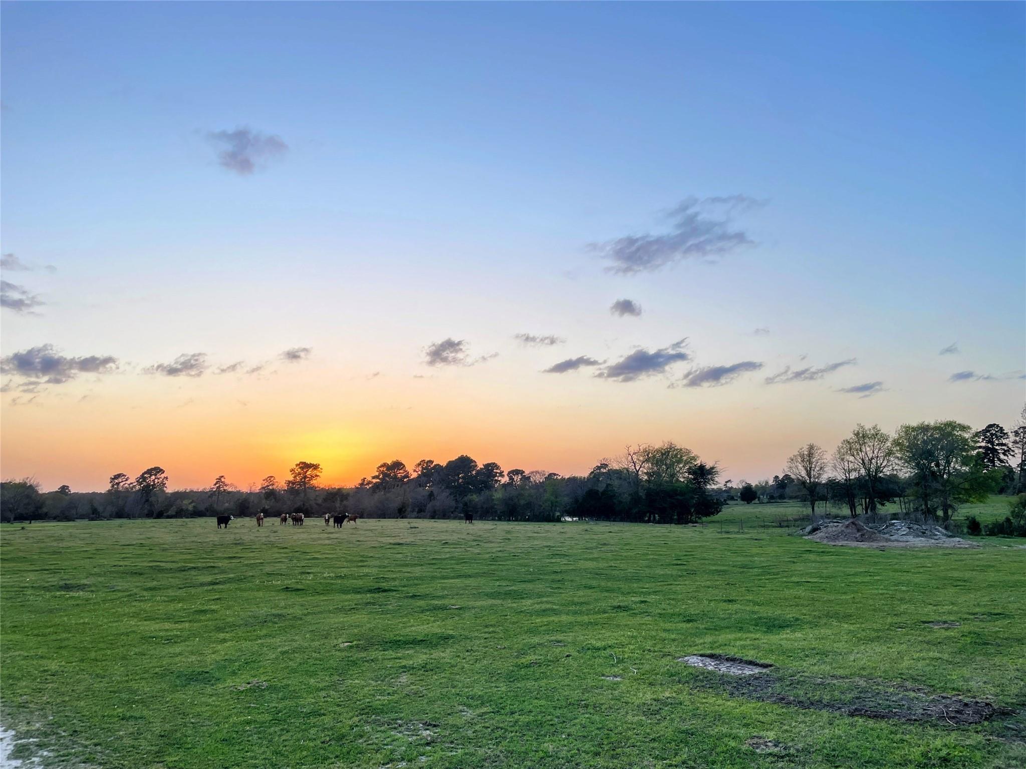 1178 County Road 211