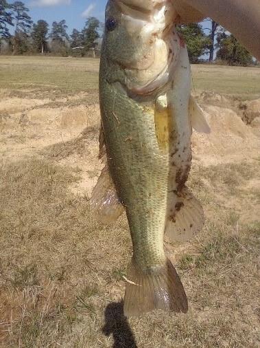 1178 County Road 211