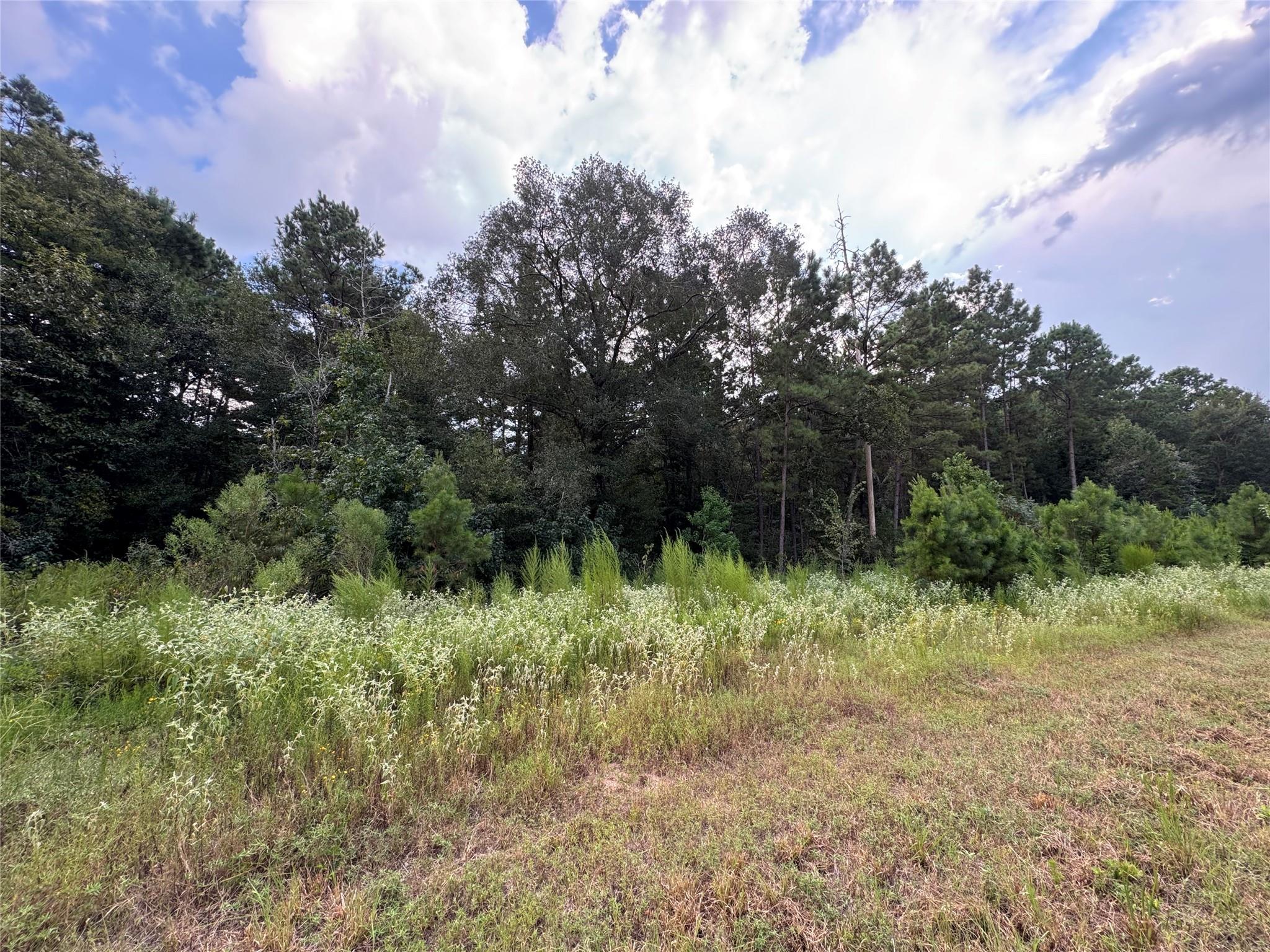 68-23-7 Sky Oak Lane