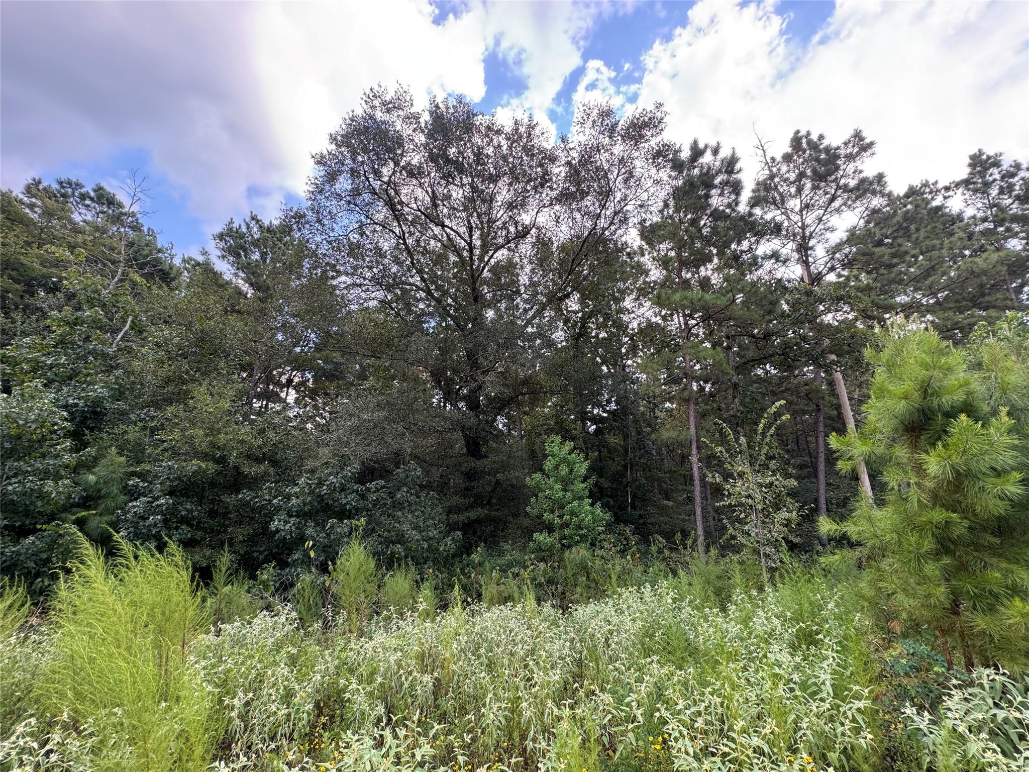 68-23-7 Sky Oak Lane