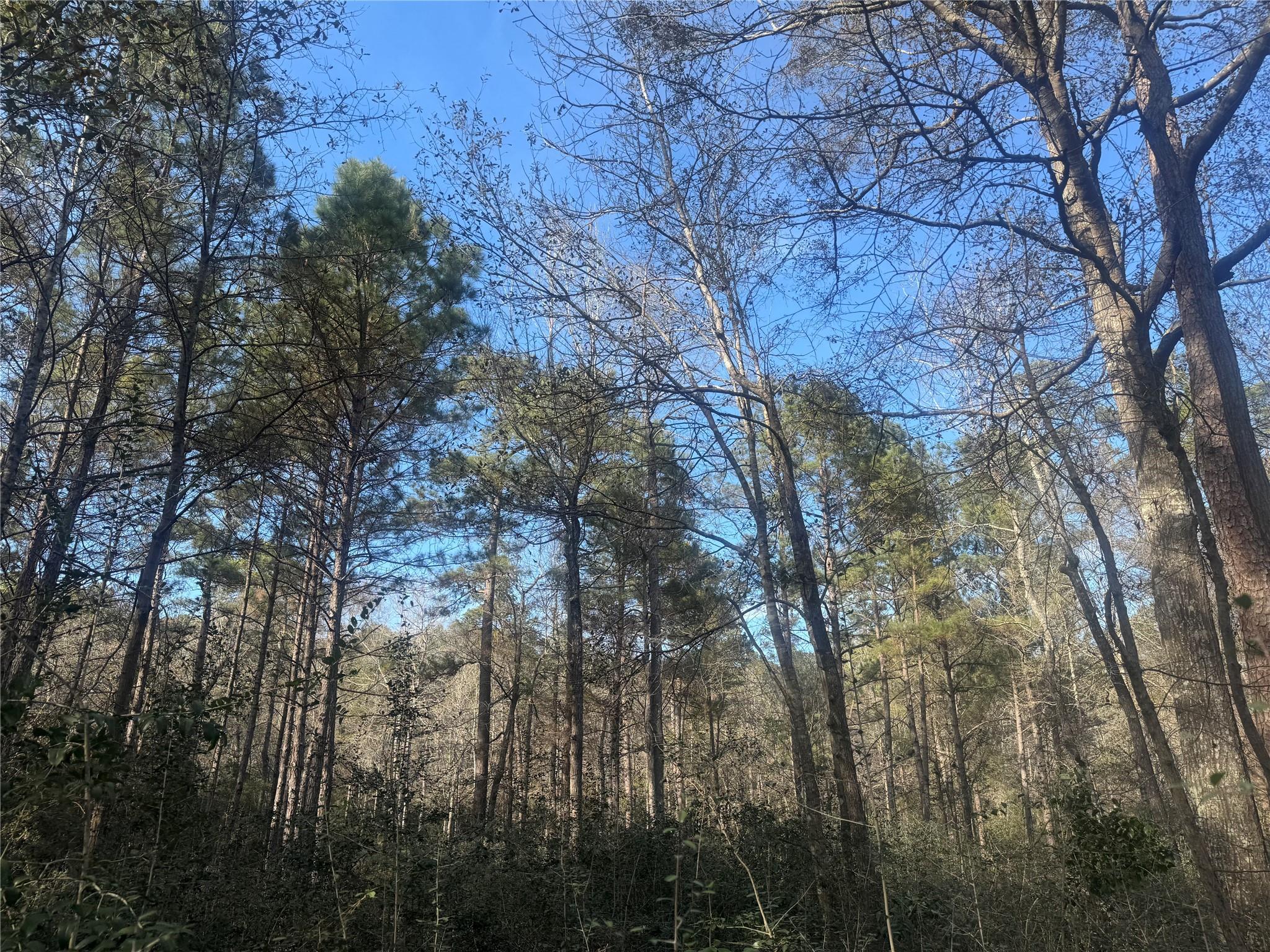 87-22-10 Granite Road