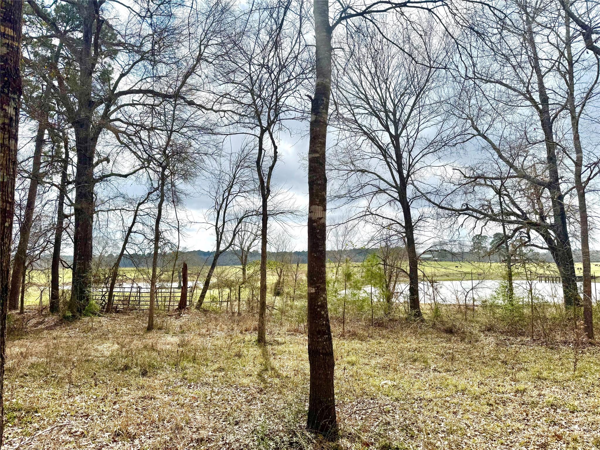 178 Stagecoach Circle