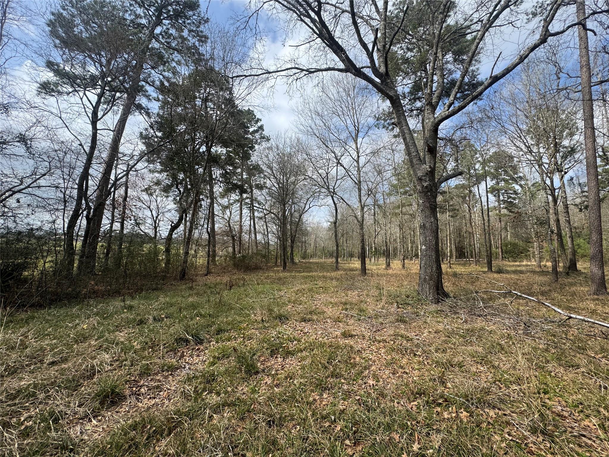 178 Stagecoach Circle