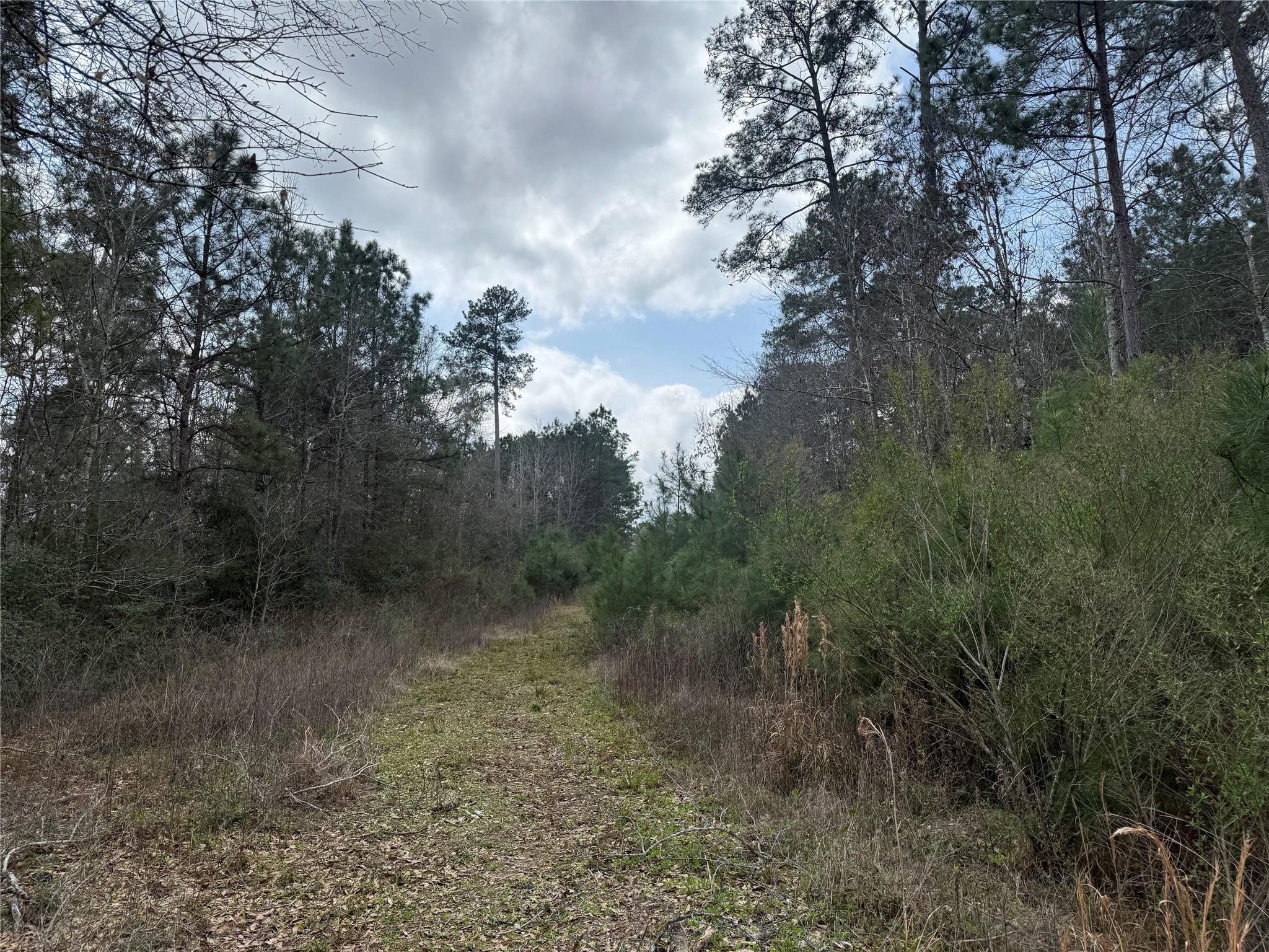 178 Stagecoach Circle