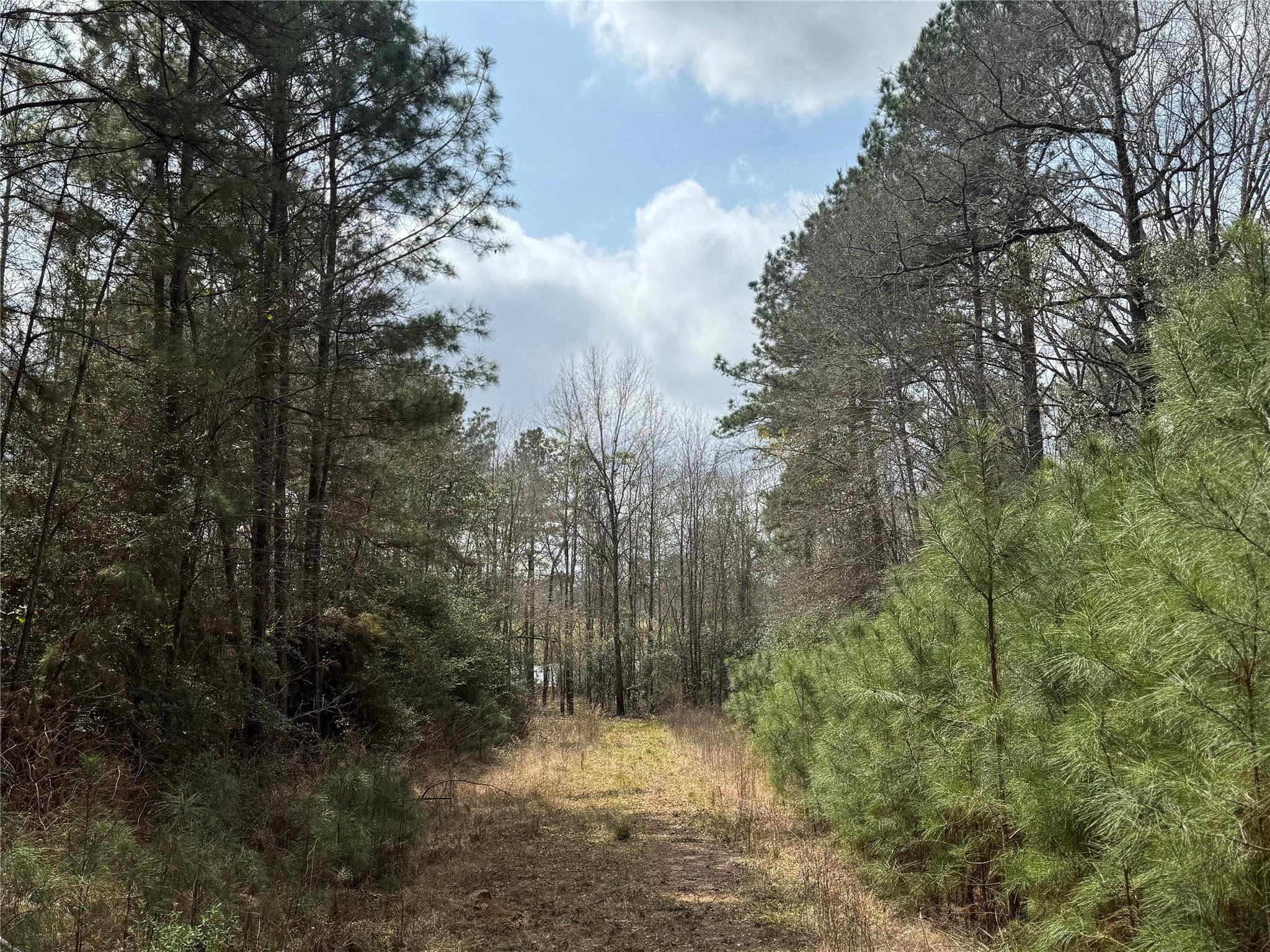 178 Stagecoach Circle