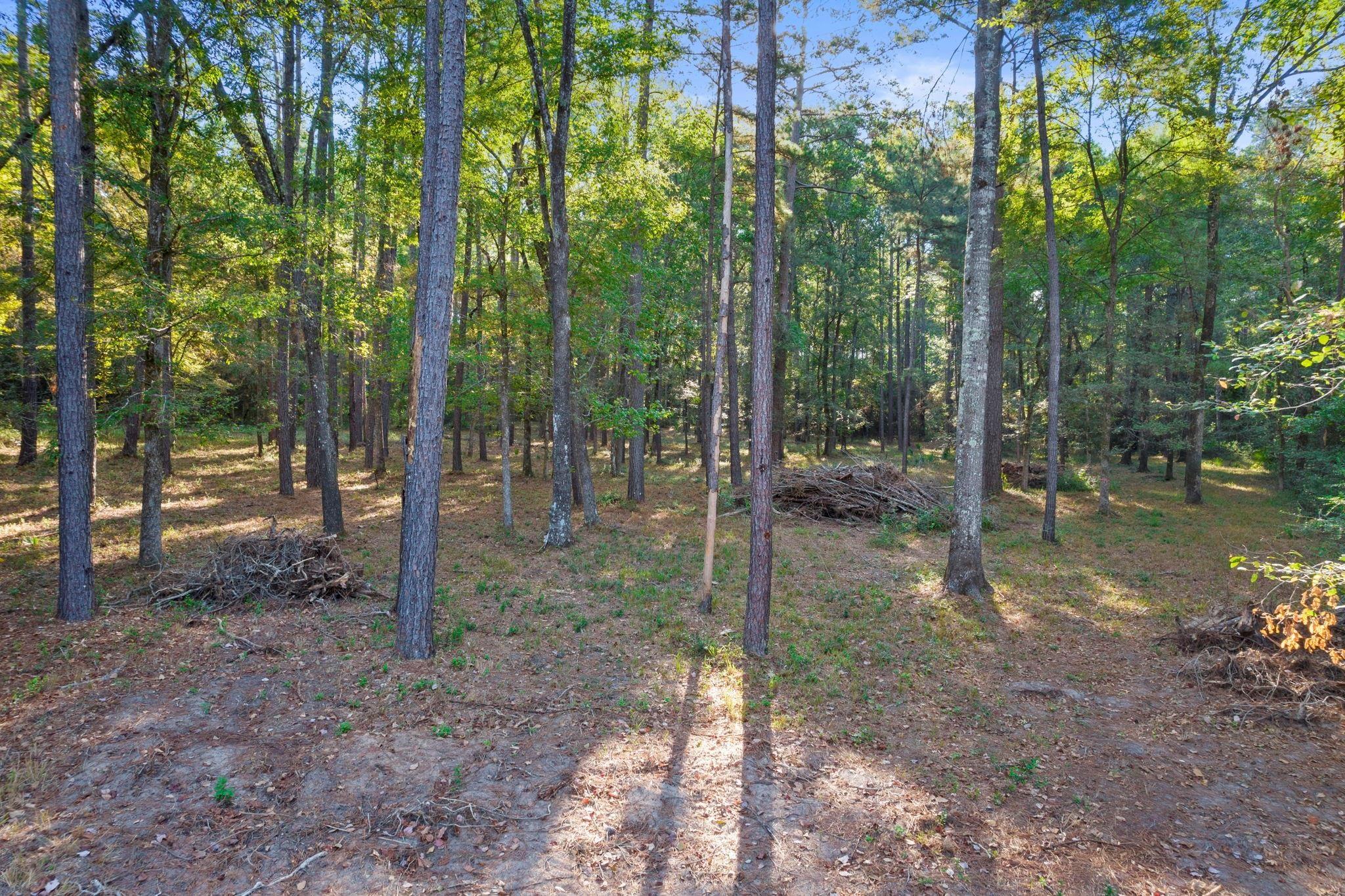 244 Remington Road