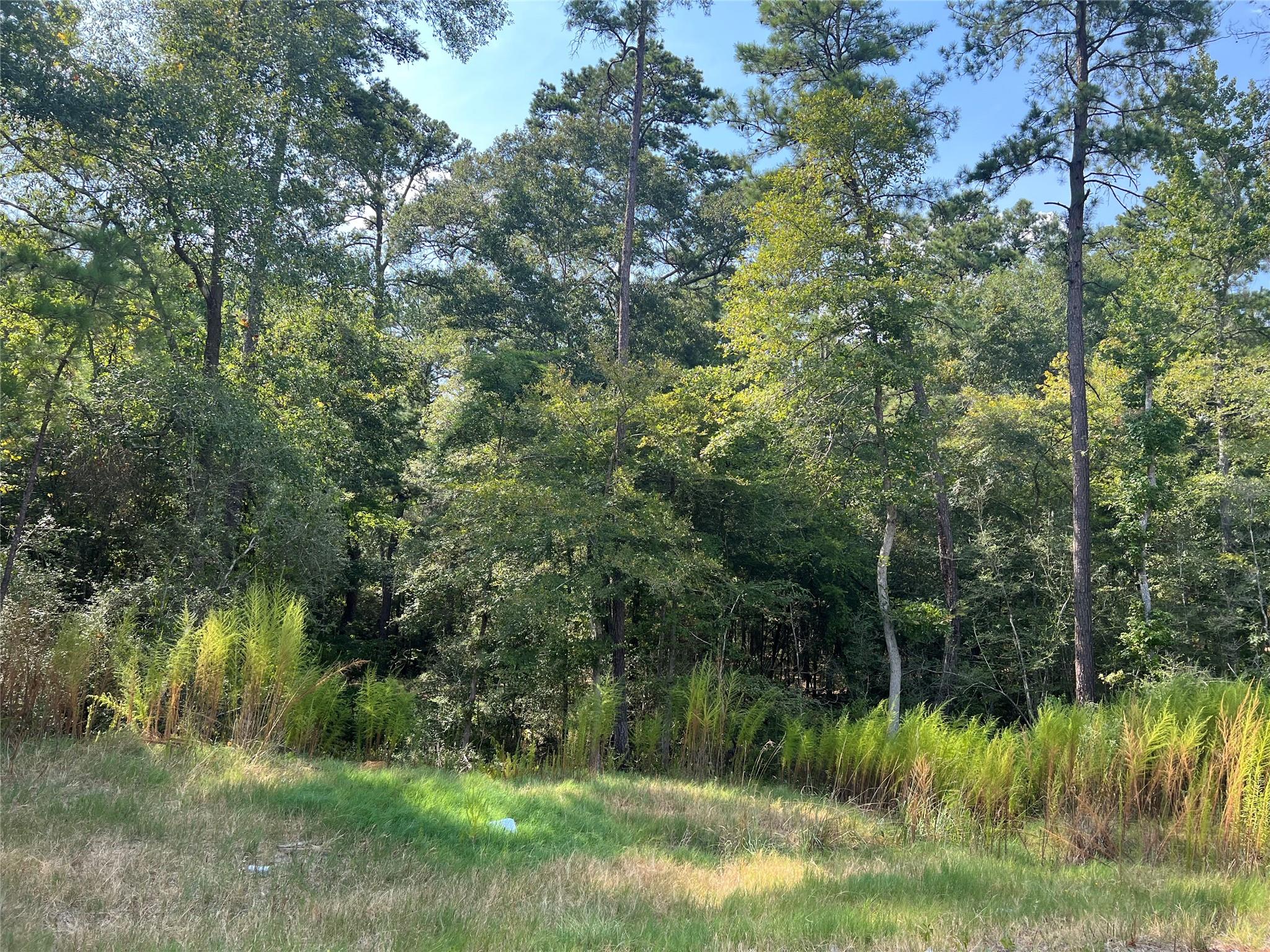 47-34-15 Alamo Drive