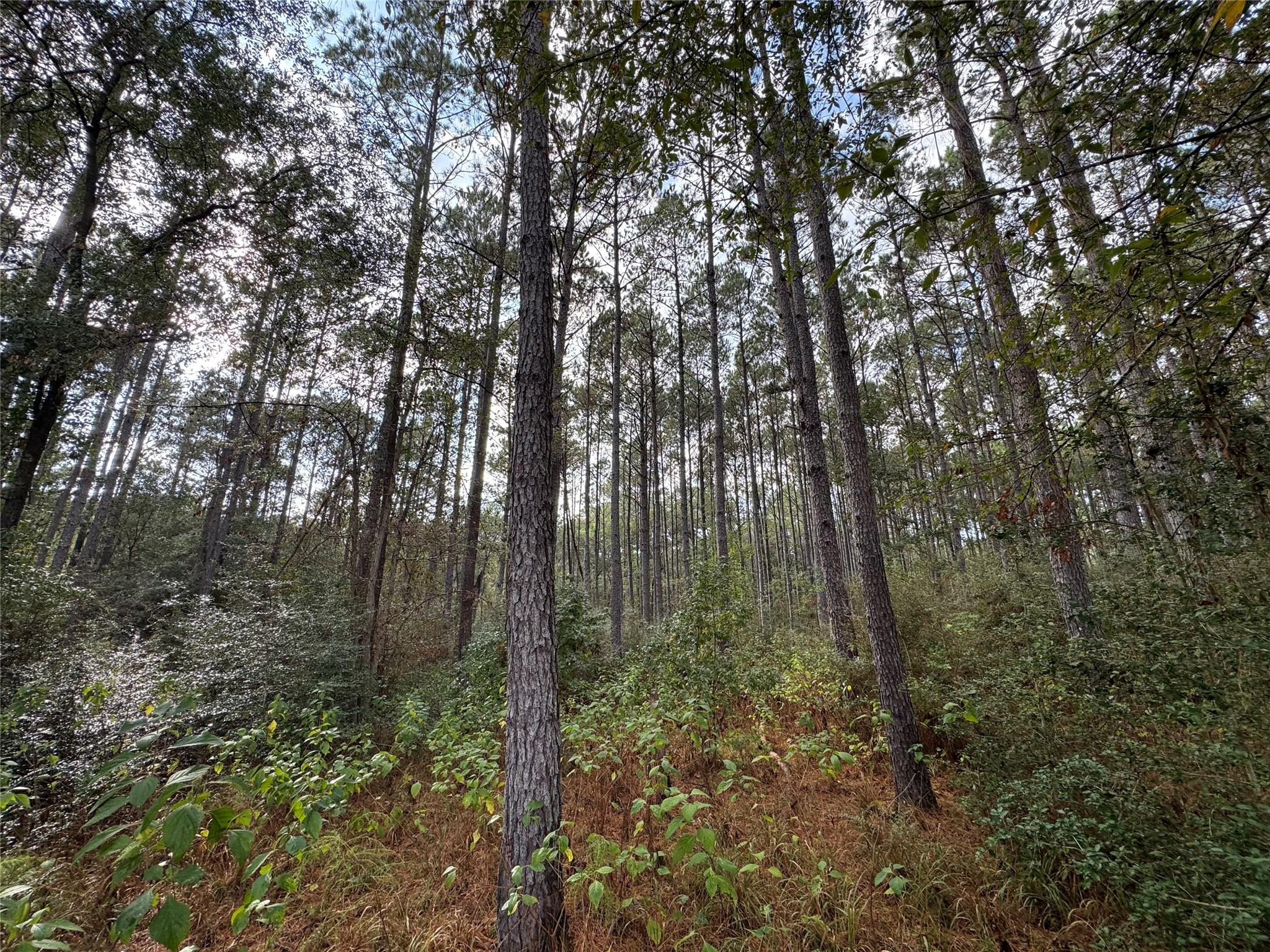 64-22-12 Granite Road