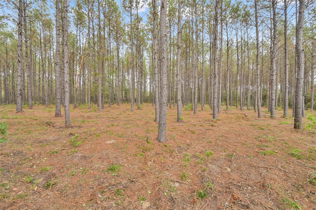 12801 Oak Barrel Road