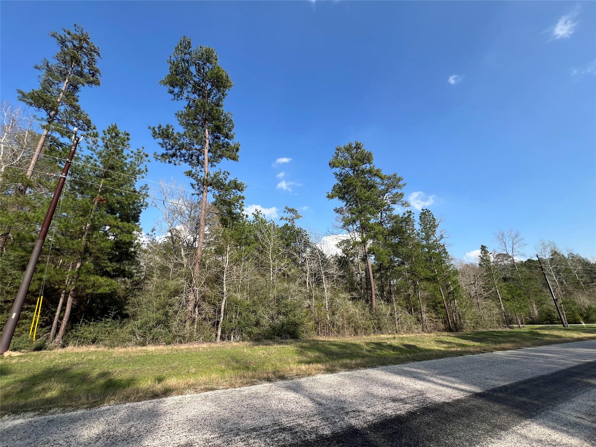 3-17-3B Winchester Road