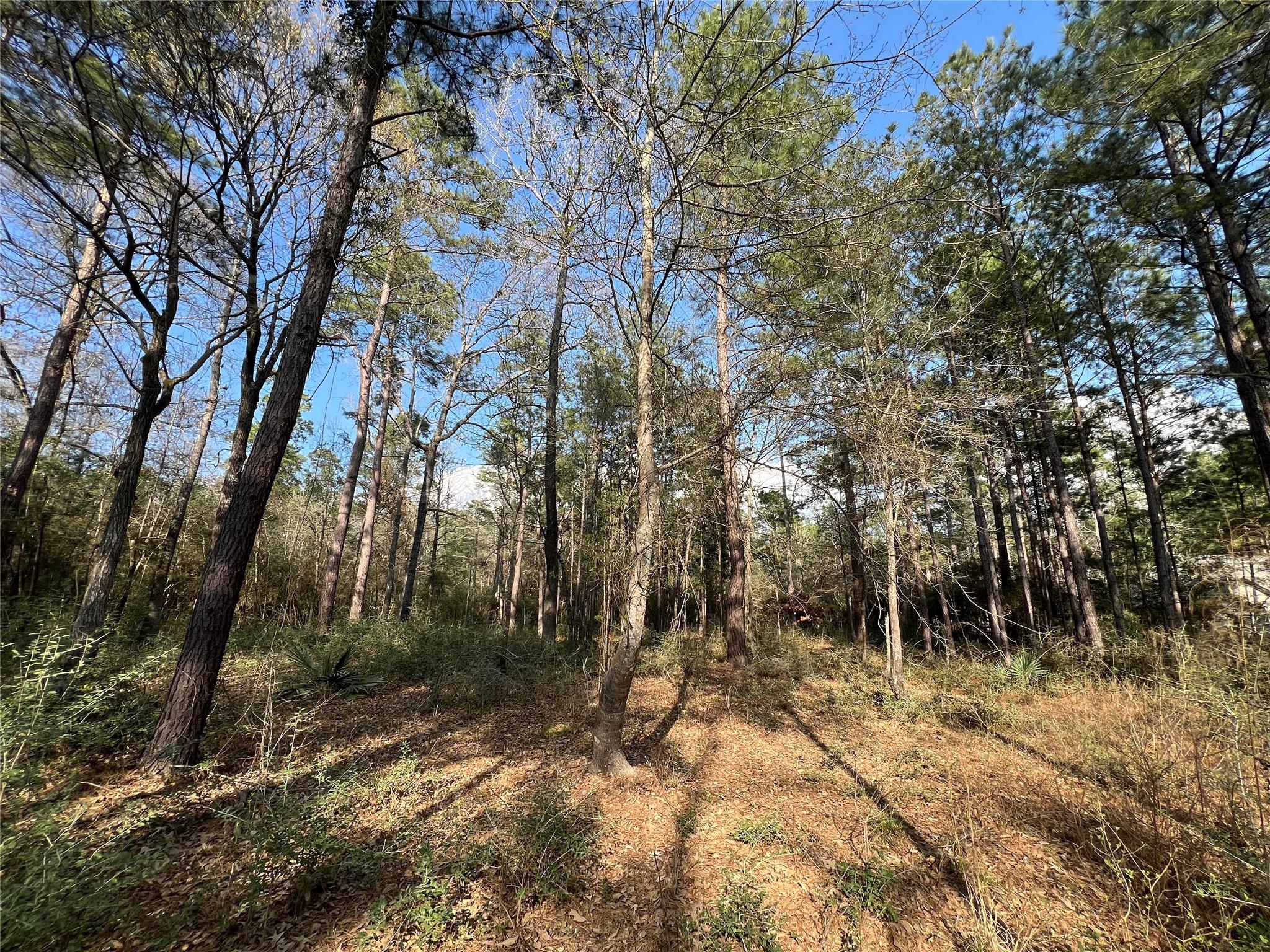 3-17-3B Winchester Road